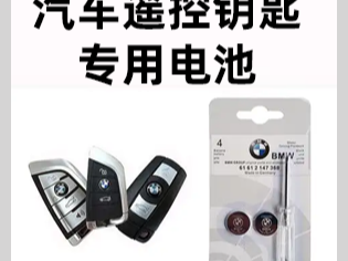 各类汽车遥控原厂电池