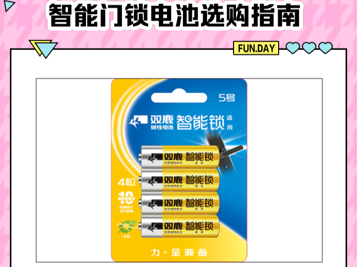 智能锁专用电池